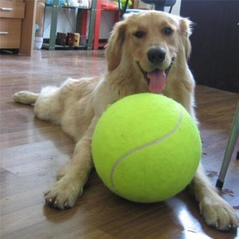 Giant Tennis Dog Ball
