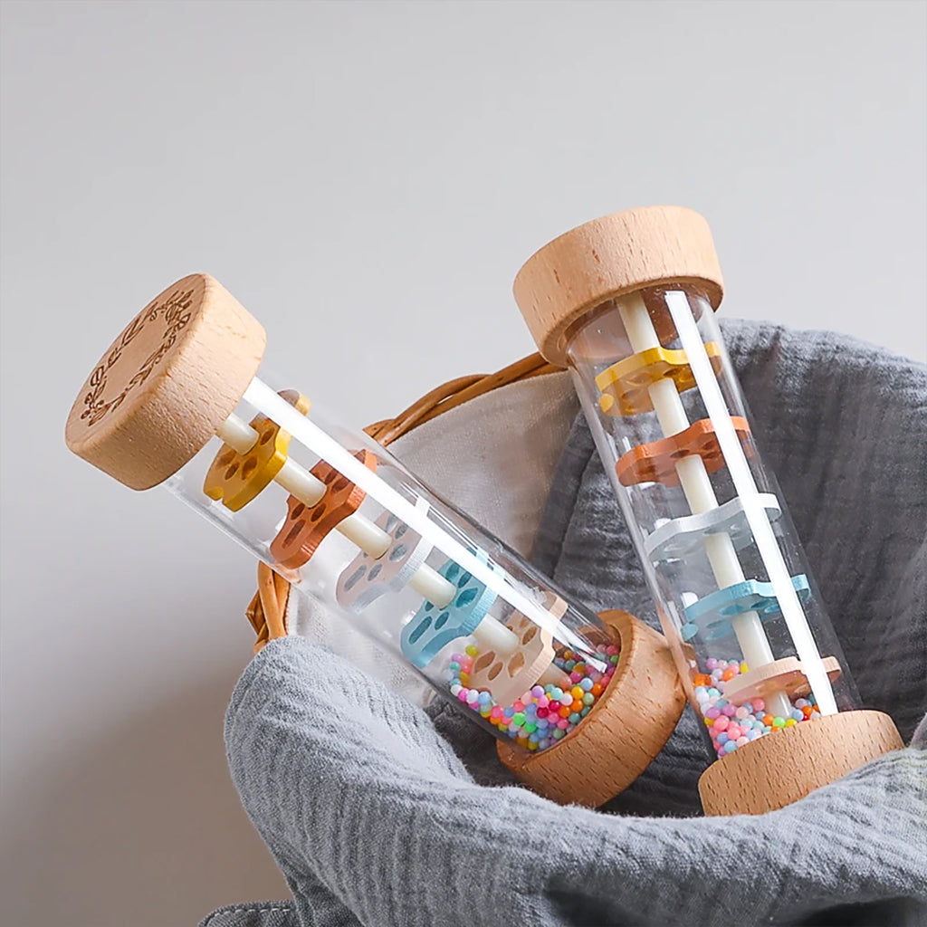Montessori Rain Stick Toy