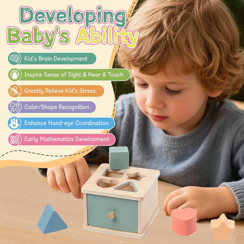 Montessori Object Permanence Box