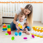 Montessori Smart Egg Matching Toy