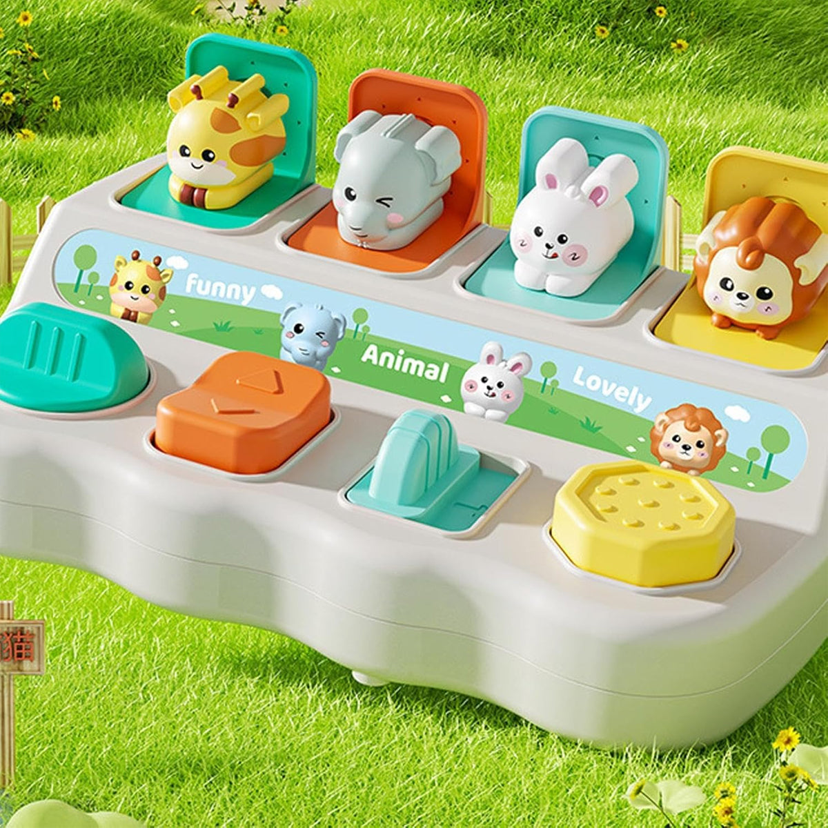 Montessori Pop-Up Animal Toy Box