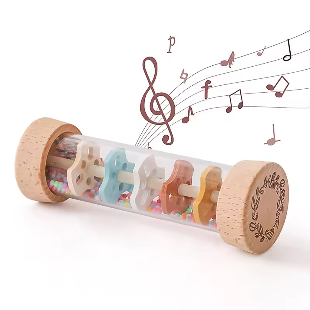 Montessori Rain Stick Toy
