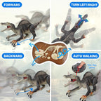 Remote Control Dinosaur Animal Toy
