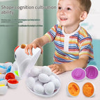 Matching Eggs Learning Toy with Chicken Storage Case