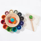 Montessori Rainbow Ball Sorting Game