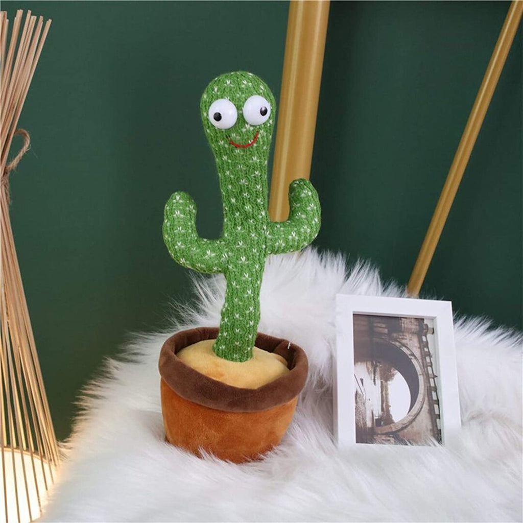 Parrot Cactus That Can Sing And Dance
