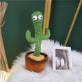 Parrot Cactus That Can Sing And Dance