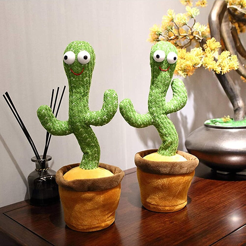 Parrot Cactus That Can Sing And Dance