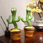 Parrot Cactus That Can Sing And Dance