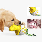 Dinosaur Egg Dog Chew Toy