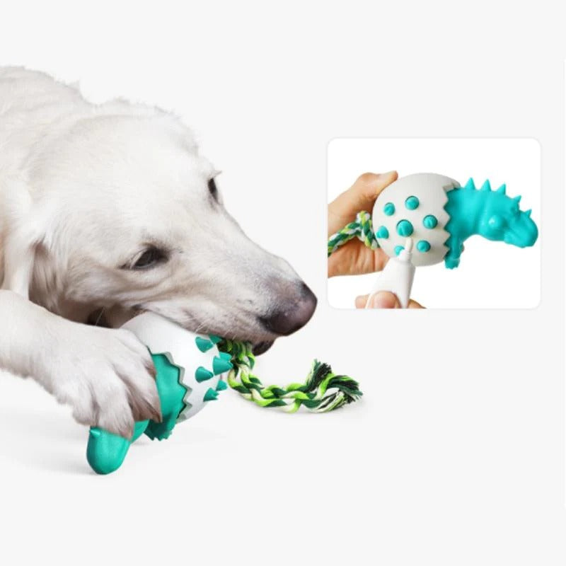 Dinosaur Egg Dog Chew Toy