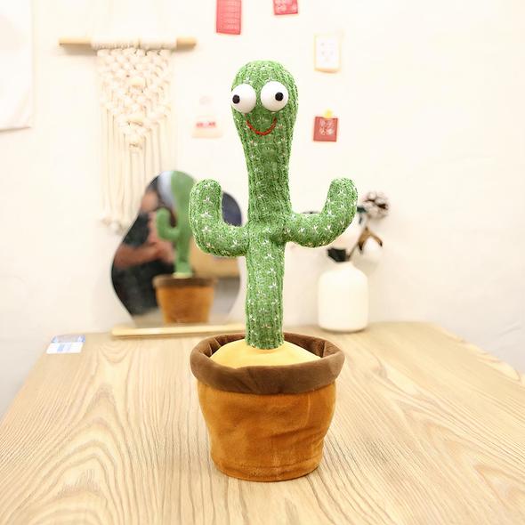Parrot Cactus That Can Sing And Dance